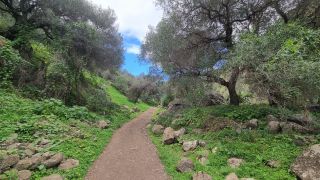2024-01-GranCan-Barranco_de_los_Cernicalos-017.jpg